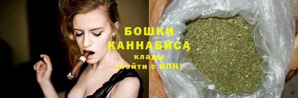 сатива Арсеньев
