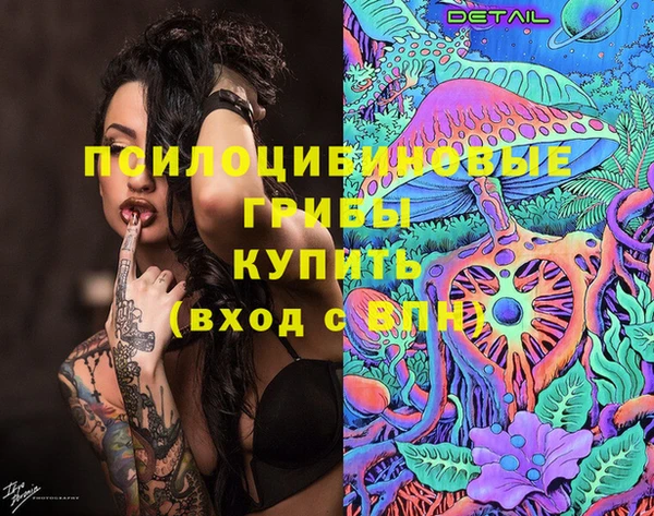 сатива Арсеньев