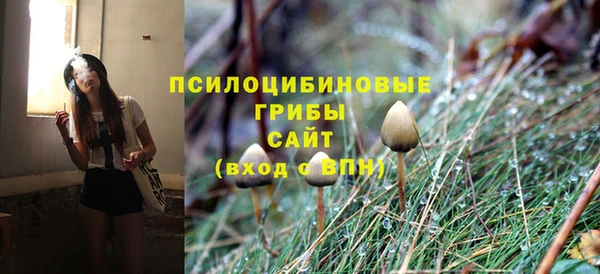 сатива Арсеньев