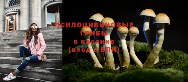 2c-b Армянск