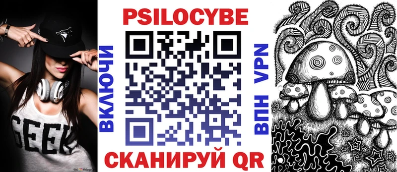 купить наркоту  Белово  Псилоцибиновые грибы Cubensis 