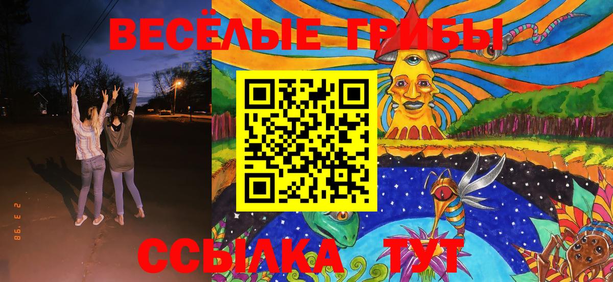 Псилоцибиновые грибы GOLDEN TEACHER Белово