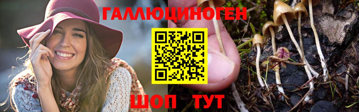 цены   Галлюциногенные грибы мухоморы  Белово  Вход с VPN  Псилоцибиновые грибы Cubensis 